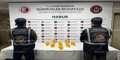 Habur Sınır Kapısı’nda Milyonluk Altın Operasyonu