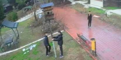 Adana'da parktaki kuş yuvasını parçaladılar