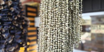 Ramazan'ın gözdesi bamya tezgahlarda yerini aldı