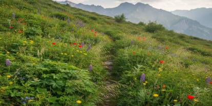 "Mucize Bitki" Yalanına Dikkat! Kanserde Yeni Dönem: Kişiye Özel Tedavi Ve Erken Tanı