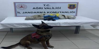 Zehir Tacirlerine "Şafak" Darbesi! İstihbarat Takibi Kapıdaki Aramada Sonuç Verdi