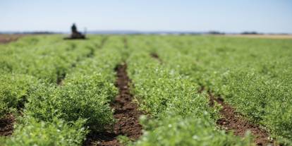 Şırnak'ta Binlerce Üreticiyi İlgilendiriyor: 2025 Tarımsal Destek Takvimi Açıklandı