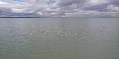 Gökyüzünden Gelen Pembe Mucize! Kuraklığın Ardından Doğa Yeniden Doğdu