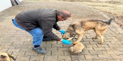 Atıklar Mamaya, Tasarruf Hizmete Dönüşüyor! Barınakta "Tam Kapasite" Üretim