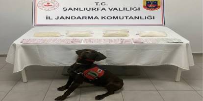 Hassas Burunlar Affetmedi! Zehir Tacirlerinin Gizli Kasası Deşifre Edildi