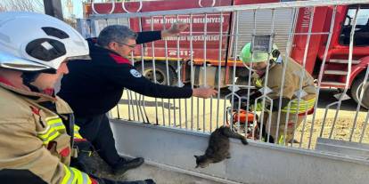 Kapı korkuluğuna sıkışan kediyi itfaiye kurtardı