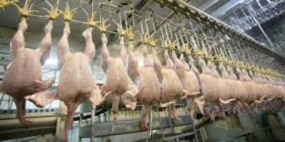 TVHB Başkanı Eroğlu: "Tavuk eti ihracatına getirilen kısıtlamaların etkilerinin çok boyutlu değerlendirilmesi gerekmekte"