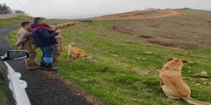 Şırnak’ta Hayvancılığa Mera Desteği