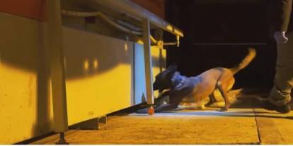 Van’da Tırda Dev Operasyon: 68,5 Kilo Uyuşturucu Ele Geçirildi, 4 Tutuklama