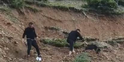 Çamura saplanan keçi son anda kurtarıldı