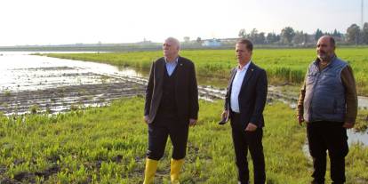 Çukurova’da Sağanak Vurdu: 36 Bin Dekar Arazi Sular Altında!