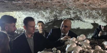 İdil’de Mağarada Kültür Mantarı Üretimi