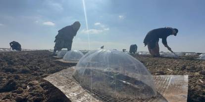 Çiftçi Yağışlar Sonrası Tarlaya İndi