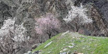 Şırnak'ta 25 Gün Gecikti, Doğa Şölene Döndü