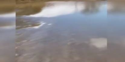 Genç kadını 8 yerinden bıçaklayıp baraja attılar