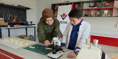 Pirinç kabuklarından yalıtım malzemesi üretti