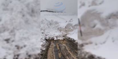 Şırnak'ta İkinci Çığ Şoku: Yol Kapandı, Vatandaşlar Zor Anlar Yaşadı