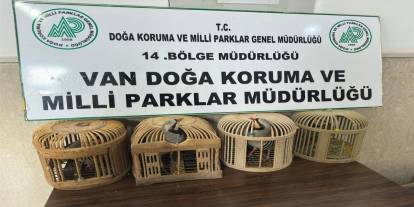 Van’da Kaçak Avcıya 86 Bin Liralık Şok! 4 Keklik İçin Servet Ödeyecek