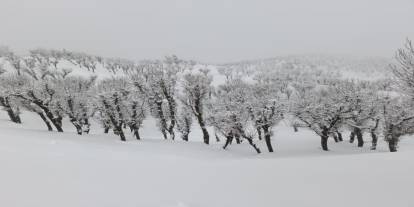 Batman'da nisan ortasında kar sürprizi