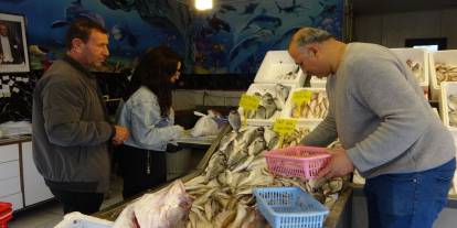 Akdeniz'de Av Yasağı Başlıyor! Tezgahlarda Fiyat Artışı Kapıda