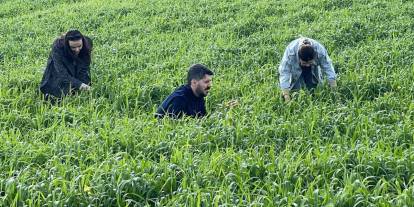 Cizre’de Süneyle Mücadele Ekipleri Sahaya İndi