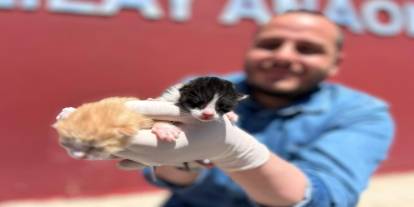 Anaokulunun misafiri ‘Fındık' 6 yavru dünyaya getirdi