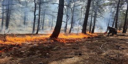 Mersin'de orman yangınlarına karşı tatbikat yapıldı