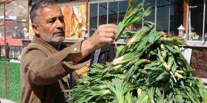 Şifa kaynağı ‘çiriş otu' 100 TL'den tezgahlardaki yerini aldı