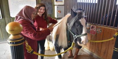 Parkinson hastasıydı, "Soğan bile doğrayamıyordum" dedi: Mucizevi yöntemle ayağa kalktı!