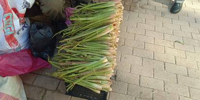 “Doğunun Muzu” Uçkun Şırnak’ta Tezgâhlarda: Fiyatı Dudak Uçuklattı