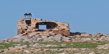 Tarihi yapıda tepki çeken halay