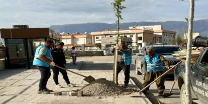 Silopi’de Ağaçlandırma Seferberliği: Cadde ve Sokaklar Yeşilleniyor