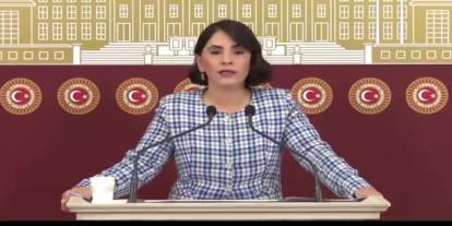 Şırnak Milletvekili Aslan’dan Silopi Termik Santraline Tepki: “Ekolojik Yıkım Derinleşiyor”