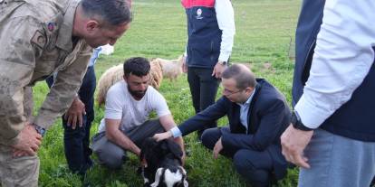Cizre Kaymakamı Baycar, Göçer Üreticilerin Sorunlarını Yerinde Dinledi