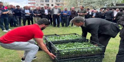Şırnak’ta Çiftçilere Sebze Fidesi Desteği
