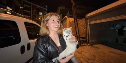 Arnavutköy'de cins kediyi çaldılar