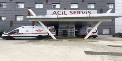 Arı saldırısına uğrayan yaşlı çift hastanelik oldu