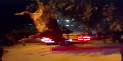 Firari Dana Bu Kez Dereyi Gözüne Kestirdi