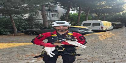 Üç gündür ağaçta mahsur kalan kedi kurtarıldı