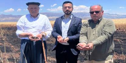 Silopi’de Çiftçinin Zarar Gördüğü Alanda İnceleme Yapıldı