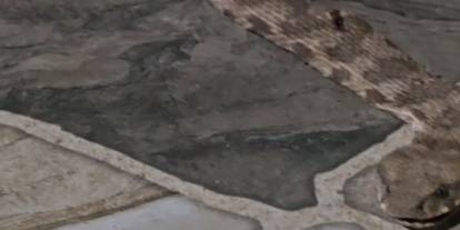 Şırnak’ta Balkona Çıkan Vatandaş Gördüğü Manzara Karşısında Şoke Oldu
