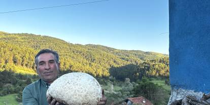 5 kiloluk mantar Görenleri şaşırttı