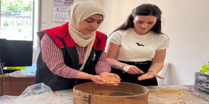 Şırnak'ta Buğday, Arpa ve Mercimek Alanlarında Verim Tespit Çalışmaları Sürdürülüyor