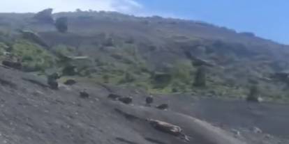 Şırnak-Siirt Yolunda Ürküten Manzara! Onlarcası Aynı Noktada Toplandı