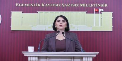 Aslan: "Şırnak'ta hastane var, doktor yok; sağlık sistemi gerçekte işlemiyor"