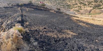 Cizre’de Arazide Uyurken Yangının Ortasında Kalan Çoban Ağır Yaralandı