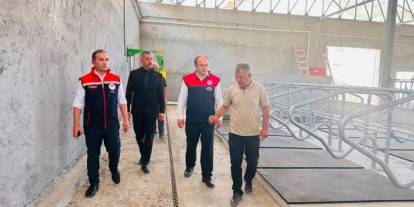 Şırnak’ta 100 Baş Süt Sığırcılığı Projesi Yerinde İncelendi