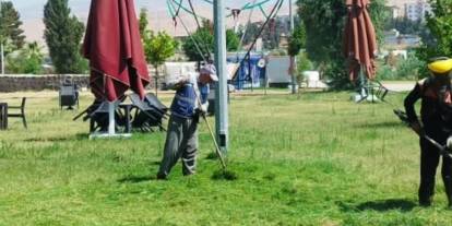 Cizre'deki park ve çay bahçelerinde kapsamlı bakım çalışması