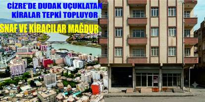 Cizre’de Kira Fiyatları Altınla Yarışıyor: Kiracılardan Fahiş Zam Tepkisi