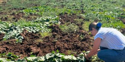 Cizre’de Tarım Arazilerinde Ürün Tespit ve Kontrol Mesaisi